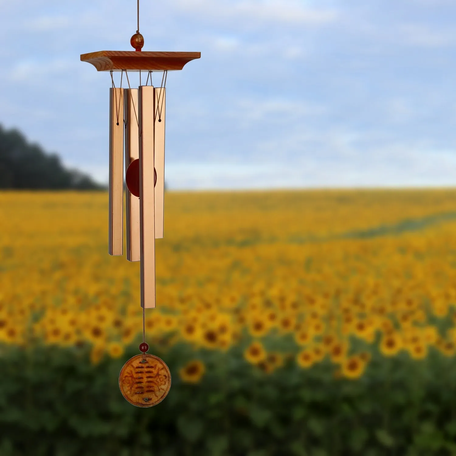 Amber Chime
