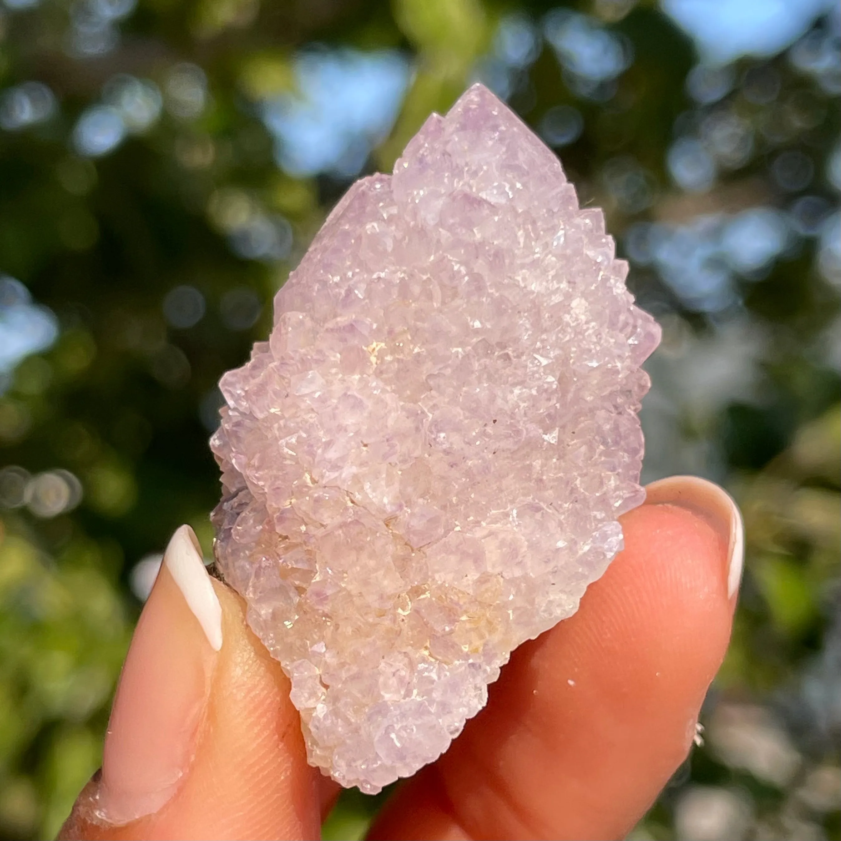 Amethyst Spirit Quartz - Cactus Witches Fingers - Wholesale flat (35 pieces) - South Africa