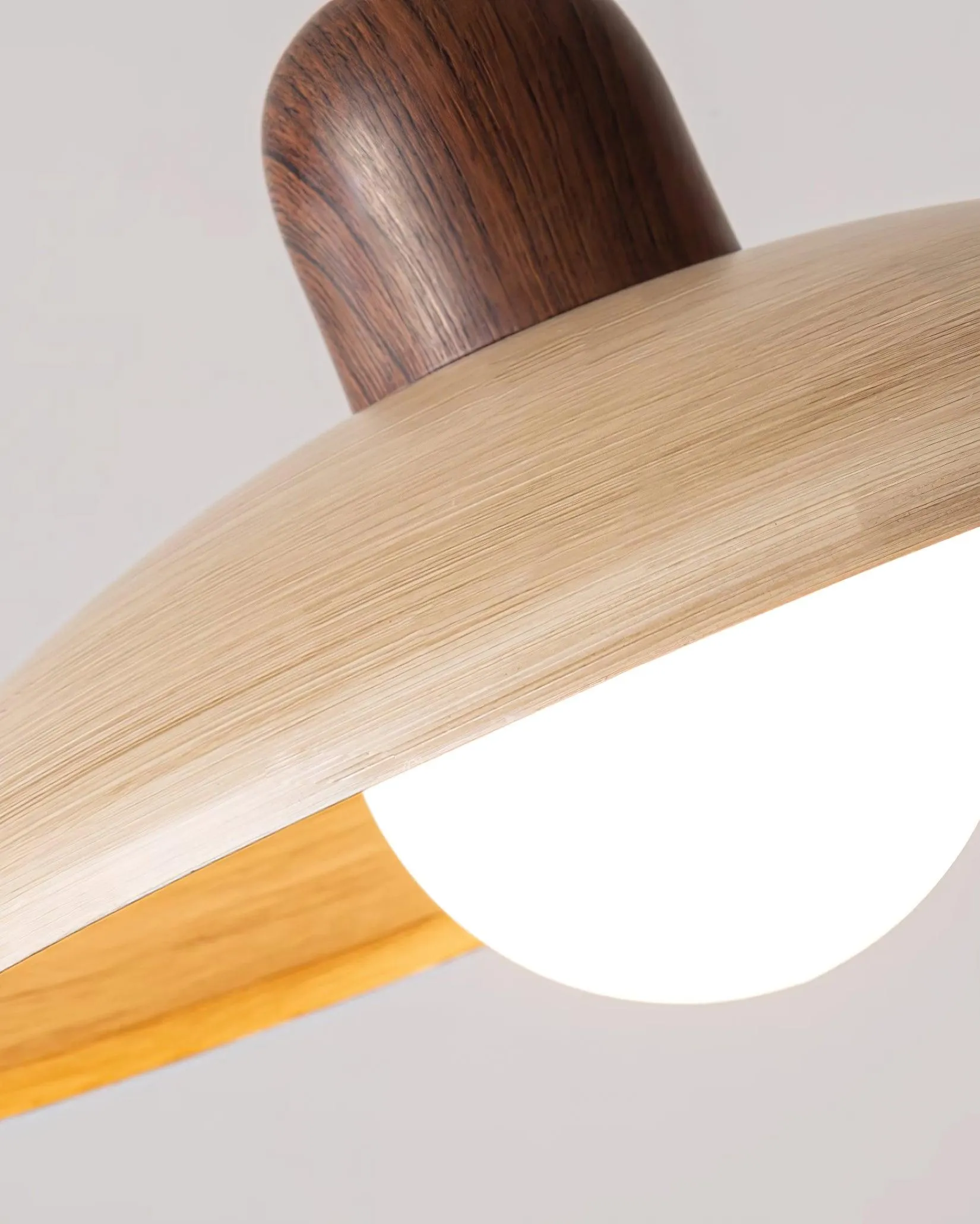Corpin Plug In Pendant Lamp