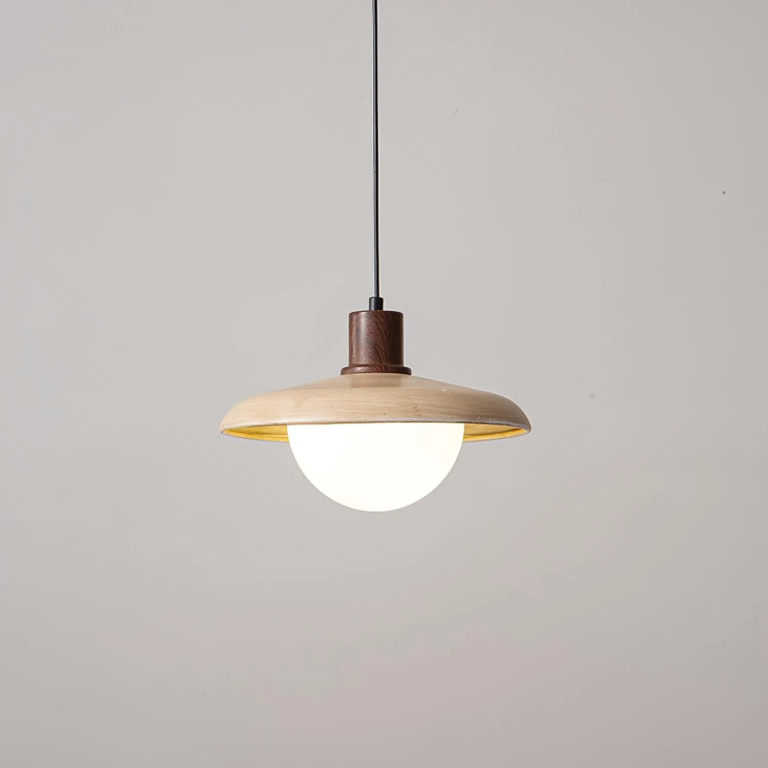Corpin Plug In Pendant Lamp