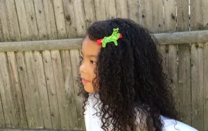 Praying Mantis Hair Clips I The Enchanted Magnolia